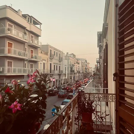 Rosy * Corato